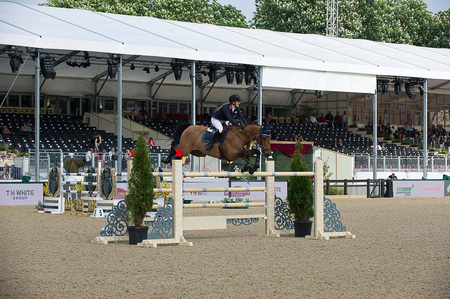 An equestrian rider skillfully jumps over an obstacle on a brown horse at an outdoor event, with a partially filled grandstand in the background. The scene evokes the grace and elegance reminiscent of The Queen at 90.
